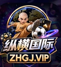纵横国际